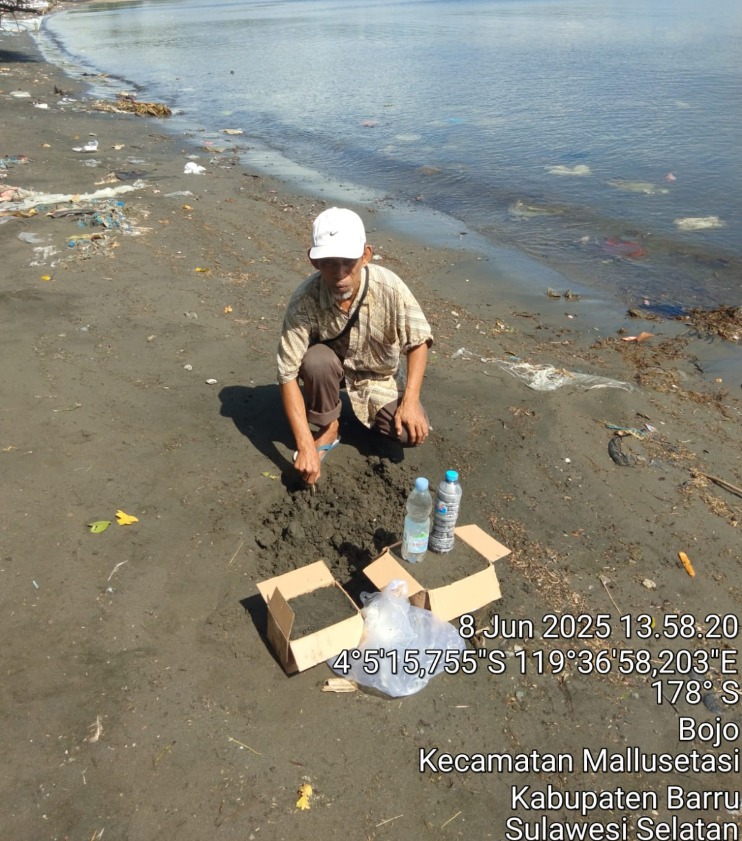 Peneliti UMPAR Kembangkan Beton dari Pasir dan Air Laut untuk Infrastruktur Pesisir